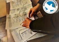 Арктика покоряется упорным…