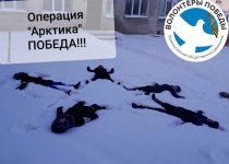 Арктика покоряется упорным…