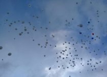 Международная акция «Голубь мира» в Белоярском городском округе