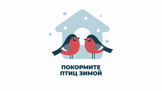 Акция «Покорми птиц зимой»