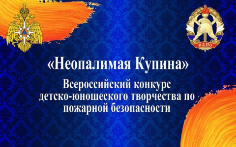 Протокол муниципального этапа всероссийского конкурса детско-юношеского творчества по пожарной безопасности «НЕОПАЛИМАЯ КУПИНА»